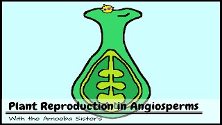 Plant Reproduction in Angiosperms [upl. by Dene]