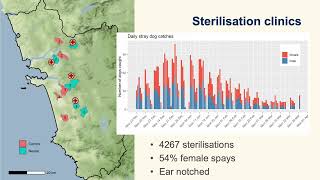 Helen Fielding  Goa multisite randomised controlled trial of dog sterilisation [upl. by Hanikahs]