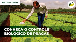 PROMIP  Conheça o Controle Biológico de Pragas TV Sítio [upl. by Llezniuq57]