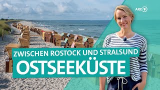 FischlandDarßZingst – Ostsee zwischen Rostock und Stralsund  Wunderschön  ARD Reisen [upl. by Zednanreh]