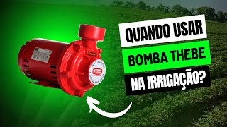 ENTENDENDO A BOMBA THEBE THI13 2CV  BOMBAS DE IRRIGAÇÃO [upl. by Keese]