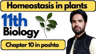 Homeostasis in plants in pashto  Class 11th biology  Chapter 10 [upl. by Neenaj502]