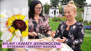 BYLINY I KWIATY JEDNOROCZNE Nasiona byliny i kwiatów jednorocznych kwiaty w ogrodzie Kasia in [upl. by Margherita]