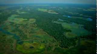 Ciclo das Águas do Pantanal [upl. by Whitver258]