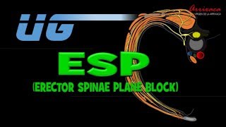 The ESP erector spinae plane Block  Our Current Understanding [upl. by Alyehs718]