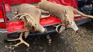 Success Pa Rifle Deer Season 2022 DAY 2 amp 3 PENNSYLVANIA [upl. by Pronty]