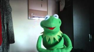 kermit the frog replica sings doop hop [upl. by Morry]