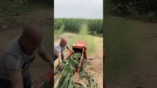 silage cutter machine corn stalk cutter machine [upl. by Uokes]