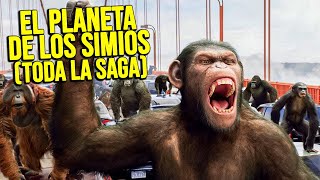 LOS SIMIOS ENTRAN EN GUERRA PARA CONTROLAR EL PLANETA  Resumen Saga EL PLANETA DE LOS SIMIOS [upl. by Lancelot49]