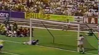 Greatest Ever Goalkeeper Save  Gordon Banks Saves from Pele [upl. by Rennob]