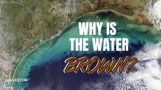 Why is Galvestons Water Brown [upl. by Enileuqaj]