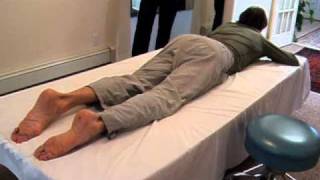 Psoas Muscles  Core Integration  The Dolphin Part I [upl. by Atnim]