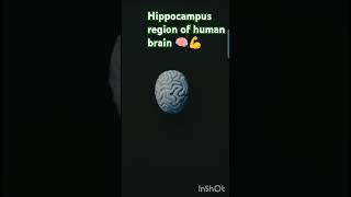 Hippocampus interesting facts Why is this region the best friend of ones memory shortsfeed [upl. by Donielle627]