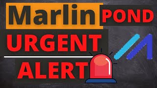 Marlin Coin POND Price Prediction MUST WATCH NOW [upl. by Uriiah125]