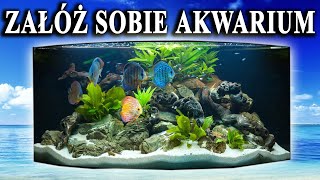 Początkujący 🐠 Propozycje RYB do Pierwszego AKWARIUM [upl. by Aihsatsan]