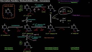 One Carbon Transfers Part 4 of 5  Tetrahydrofolate THF Conversions [upl. by Lyndsey264]