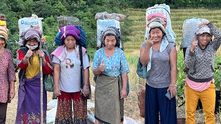 Adi Village life 🌹hardwork Life  Arunachal Pradesh [upl. by Marek]