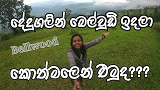 Dedugala  Nalagana Ella  Ambuluwawa  Bellwood Camping  Kotmale  Mahaweli maha seya [upl. by Ramo]