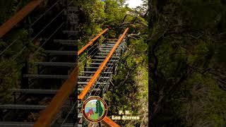 🌳Parque Nacional los Alerces ESQUEL Chubut  Ruta 40 Patagonia Argentina ruta40 [upl. by Rem]