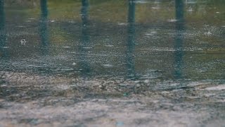 Raining On Street Pavement Sounds For Sleeping Relaxing  Water Drops Heavy Downpour Ambience [upl. by Helban]