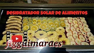 Desidratador Solar De Alimentos Fácil de Fazer [upl. by Aronoh981]