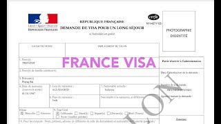 How to fill France Visa application [upl. by Davin468]