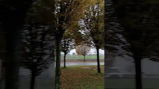 Autumn In Finglas dublin ireland shorts [upl. by Pallas884]