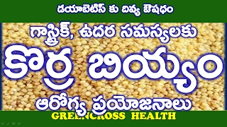 health tips in teluguకొర్ర బియ్యంhealth benefits of korra biyyam korralufox tail millet [upl. by Silvain496]