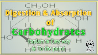 Digestion and absorption of Carbohydrates  Biochemistry  Mirha Coaching Academy [upl. by Carole]