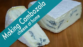 Making Cambozola Cheese at Home  incredibly delicious [upl. by Cornall]