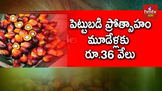 Telangana to Promote Oil Palm with Subsidies  hmtv Agri [upl. by Joao]