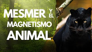 Mesmer y el Magnetismo Animal Ft Dr Mauricio Romero [upl. by Iadrahs]