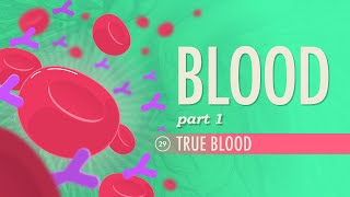 Blood Part 1  True Blood Crash Course Anatomy amp Physiology 29 [upl. by Eidoc371]