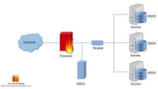 HIDS vs NIDS  What is the difference between HIDS and NIDS [upl. by Clare]