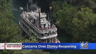 Online Petition Asks Disneyland To Delay Reopening [upl. by Rinna]