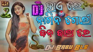 Hai Re Nagin Guri Dj Song  Sambalpuri Dj Song Odia Dj Song  Dj Babu Bls [upl. by Alidis]