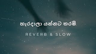 හැරදාලා යන්නට තරම් Haradala Yannata Tharam  Slowed and Reverb  Oshani Sandeepa [upl. by Brynne761]