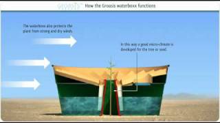 How does the Groasis Waterboxx plant cocoon work against desertification [upl. by Erusaert606]