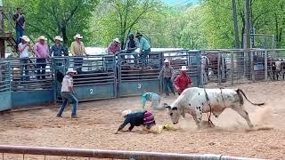 Rodeo Mountain View Arkansas Yeehaw Meandering Morgans [upl. by Kcirtapnhoj]