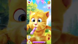 Gingercat Whistles Funny 🥳❤️😄 shortsfeed gingercat [upl. by Loresz]