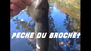 pêche du brochet cesson sevigne [upl. by Burny977]