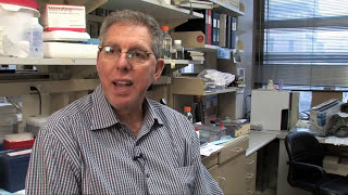 Jeffrey Friedman discusses research on leptin and obesity [upl. by Neerihs]