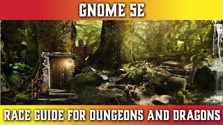 Gnome 5e  Races for Dungeons and Dragons [upl. by Maril]