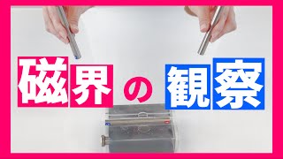 【実験】棒磁石がつくる磁界〜立体磁界観察槽と磁界観察プレートでの磁界の観察〜 [upl. by Pond]