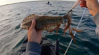 Food Chain Fishing Challenge Kayak Edition [upl. by Carthy]