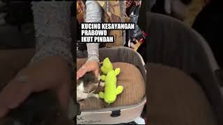 Kucing Prabowo Ikut Pindah Ke Istana Negara kucingprabowo kucing prabowo [upl. by Aksel]