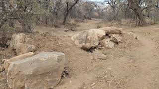 Sand Dams for our Permaculture Food Forest Observing and planing [upl. by Eniledgam]