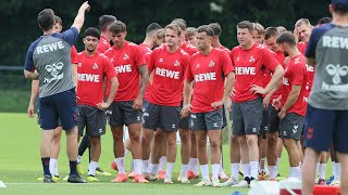 Trainingsauftakt des 1 FC Köln mit Gerhard Struber [upl. by Assirialc650]