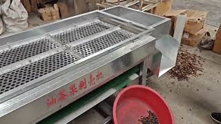 Tea seed sheller Camellia oleifera fruit sheller sheller [upl. by Ahsekyw]