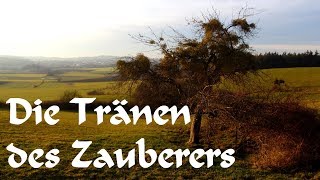 Die Tränen des Zauberers Ein modernes Märchen von EAPoeProductions [upl. by Eseerahs]